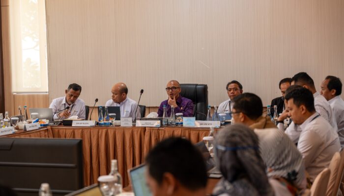 Direktur Manajemen Risiko PLN Dorong Penguatan Mitigasi Risiko Pembangunan Infrastruktur Ketenagalistrikan di Nusa Tenggara